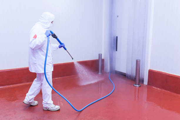 Best Gas Station Cleaning  in Terryville, NY